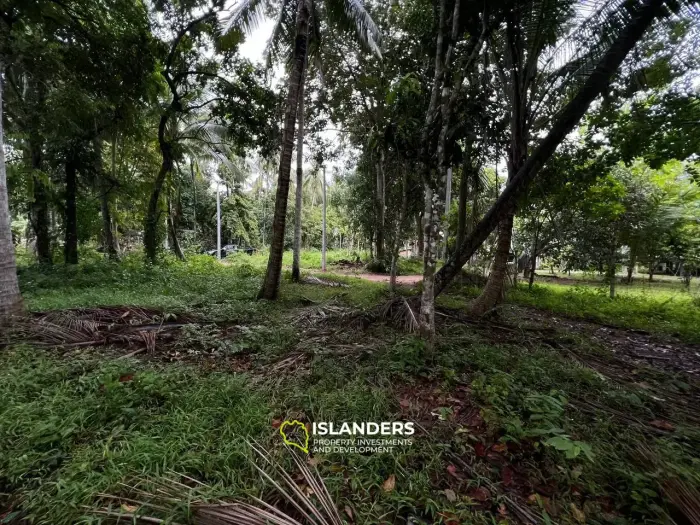 Tranquil and Level Land in Bantai