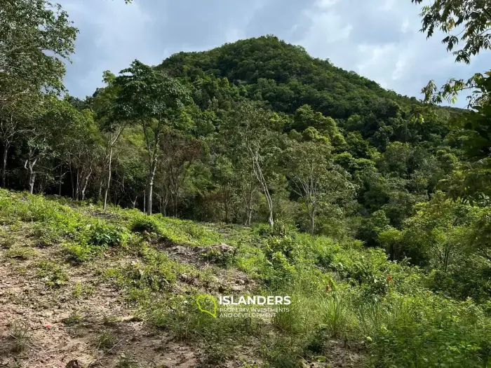 ที่ดินพร้อมวิวภูเขาและทะเลอันงดงาม