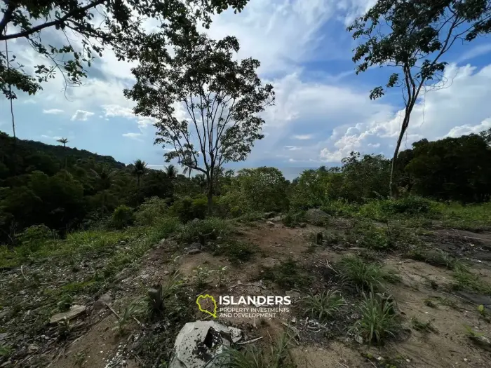 Nature's Elegance: Grundstück 4 in Haad Yao