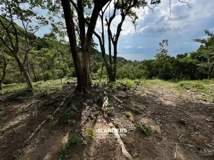Haad Yao's Paradise - Plot 7