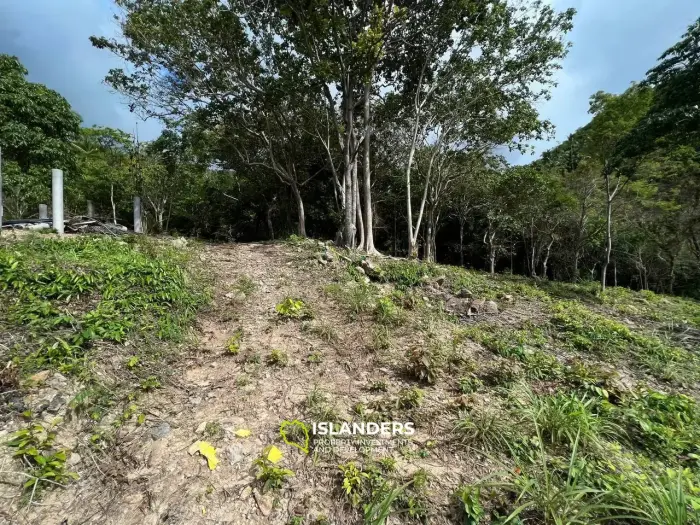 Haad Yao's Paradise - Plot 7