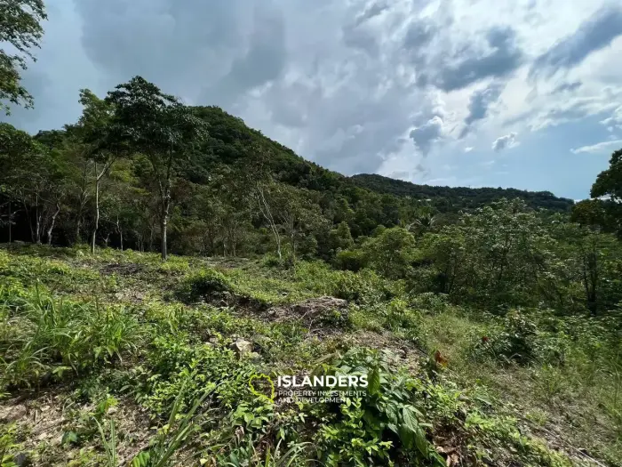 Haad Yao's Paradise - Plot 7
