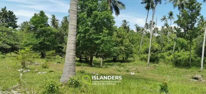 Flat Land Plot Near Hinkong (Plot 6)