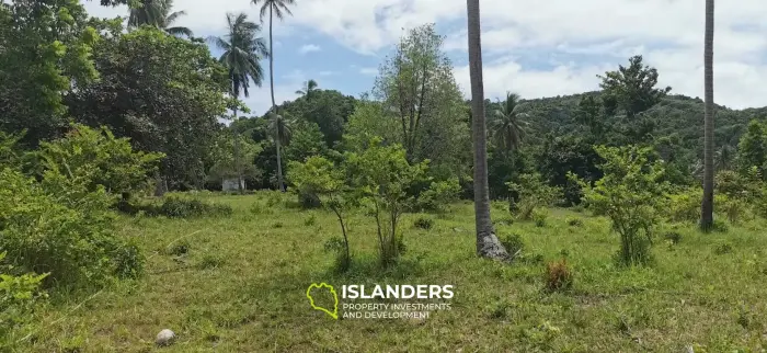 Flat Land Plot Near Hinkong (Plot 6)