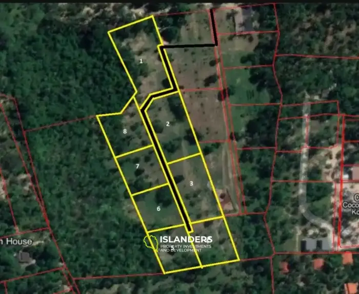 Flat Land Plot Near Hinkong (Plot 6)