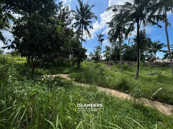 การพักผ่อนอันเงียบสงบในโฉลกบ้านเก่า