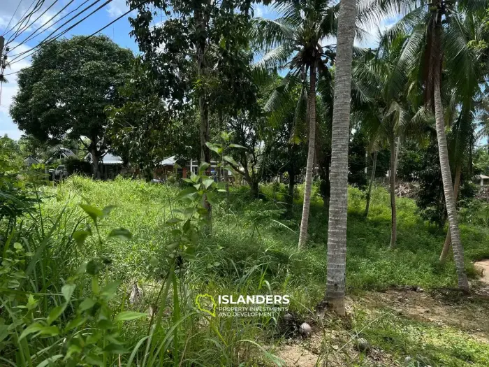 การพักผ่อนอันเงียบสงบในโฉลกบ้านเก่า