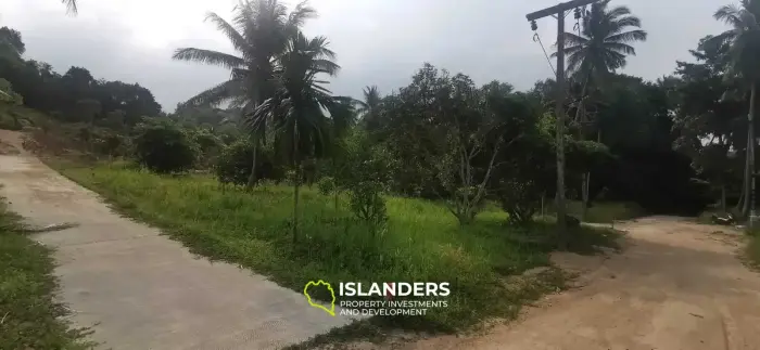 Flat Land in Coconut Lane Area with Government Road Access
