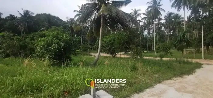 Flat Land in Coconut Lane Area with Government Road Access