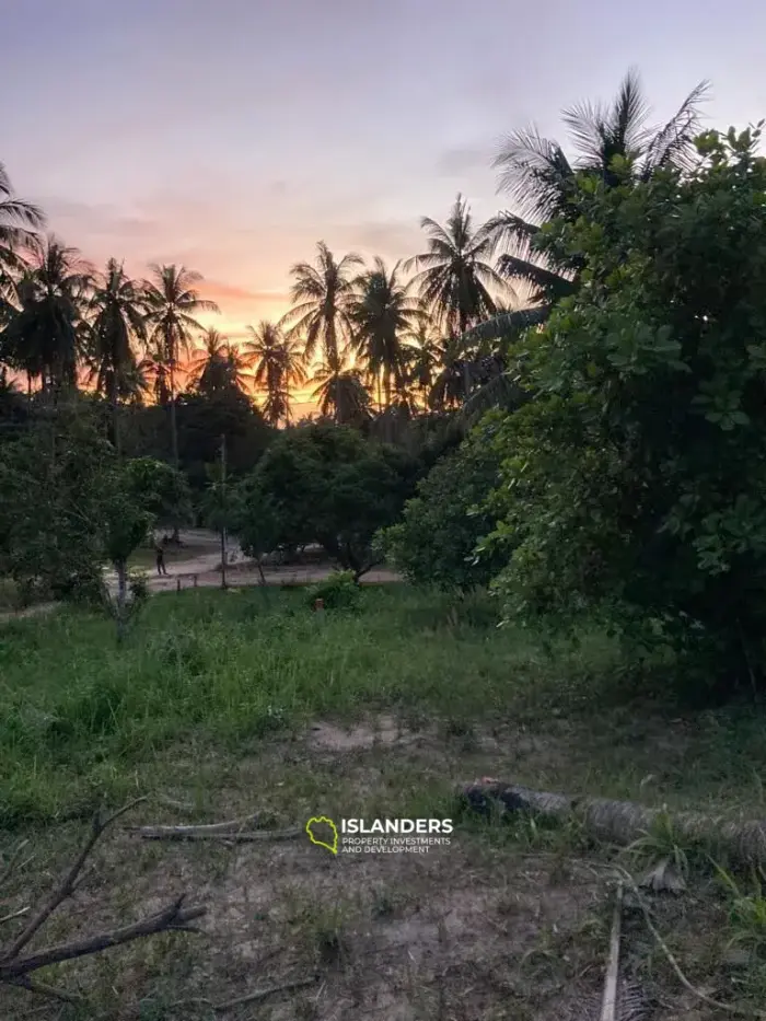 Flat Land in Coconut Lane Area with Government Road Access