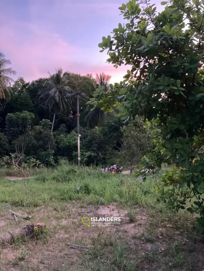 Flat Land in Coconut Lane Area with Government Road Access