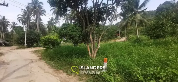 Flat Land in Coconut Lane Area with Government Road Access