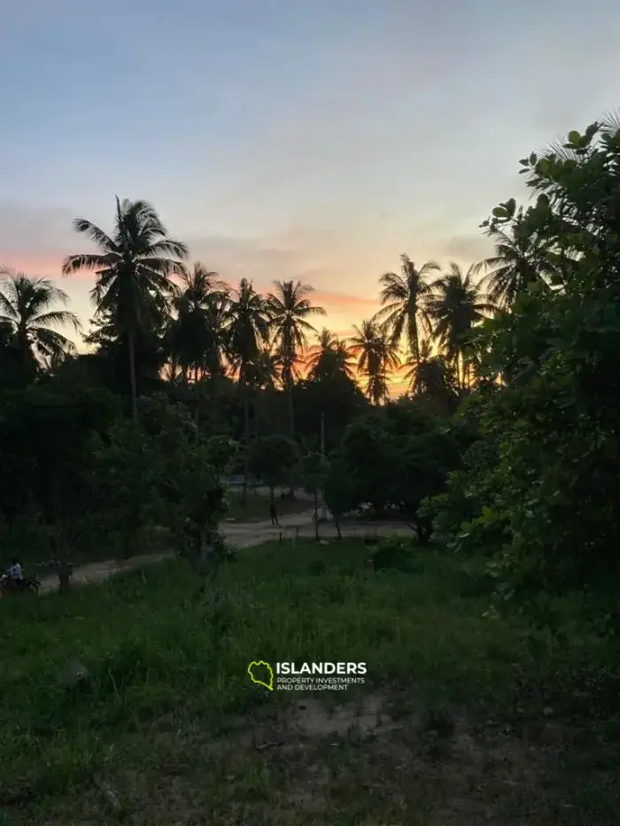 Flat Land in Coconut Lane Area with Government Road Access