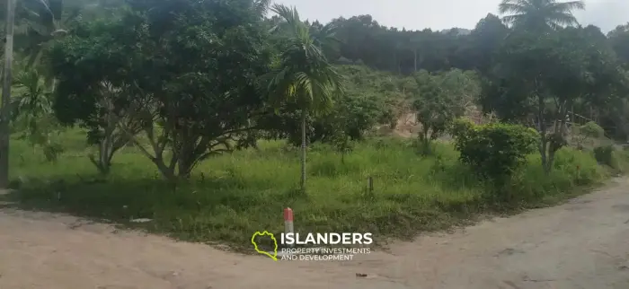Flat Land in Coconut Lane Area with Government Road Access