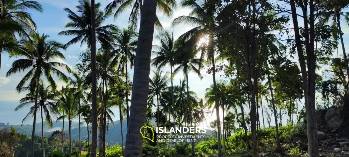 360° Haad Yao atemberaubendes Grundstück mit Meerblick. Das beste Land auf Koh Phangan.