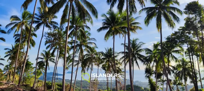 360° Haad Yao atemberaubendes Grundstück mit Meerblick. Das beste Land auf Koh Phangan.