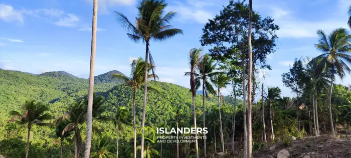 Impresionante terreno con vista al mar y a la jungla en la cima de las colinas de Haad Yao