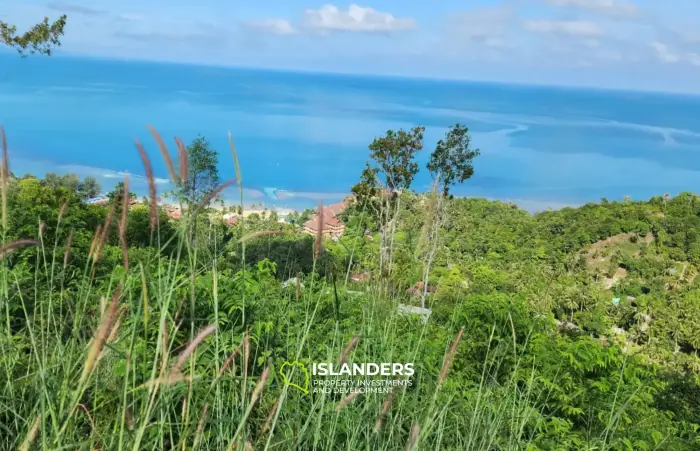Oportunidad única de poseer un gran terreno con vista al mar en Haad Yao Hills de 3280 m²