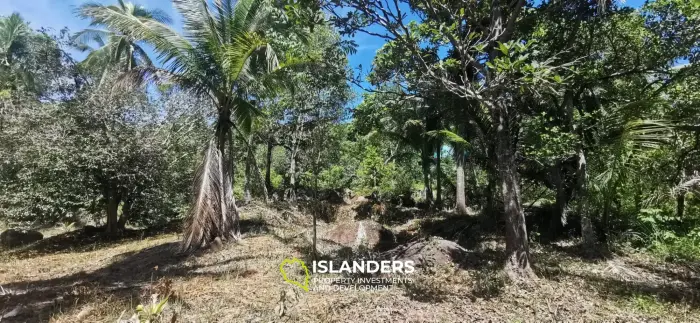 Terrain idéal pour le développement à 3,5 millions par RAI