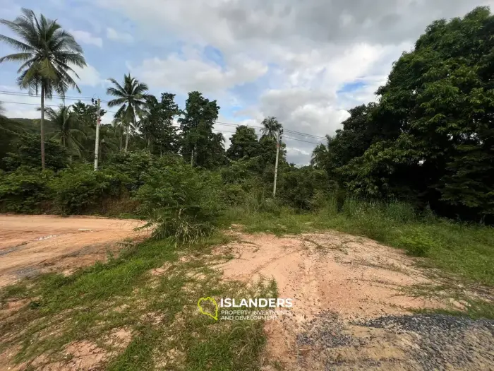 ארץ עם נוף לג'ונגל: ההזדמנות שלך להיות הבעלים של פרוסת גן עדן בטונג סלה!