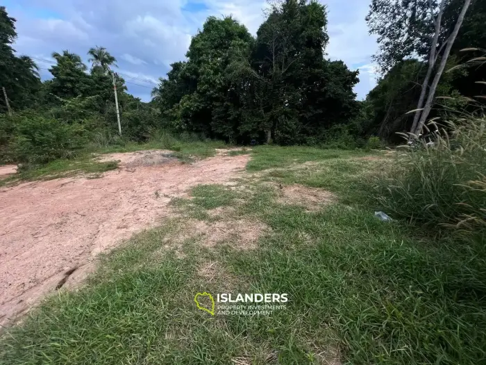 ארץ עם נוף לג'ונגל: ההזדמנות שלך להיות הבעלים של פרוסת גן עדן בטונג סלה!