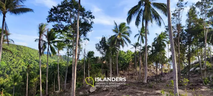 Terrain avec vue imprenable sur la jungle sur Haad Yao taille 1706 m²