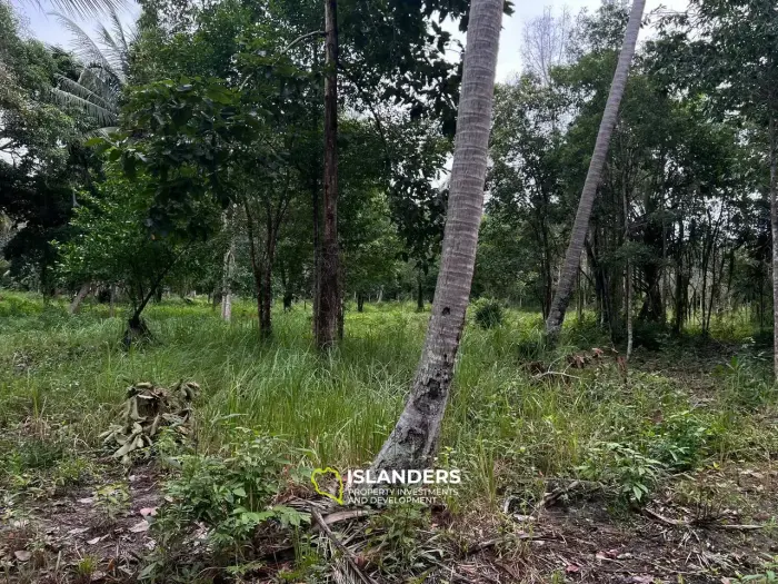 Terrain spacieux à Ban Nai Suan : endroit idéal pour votre maison