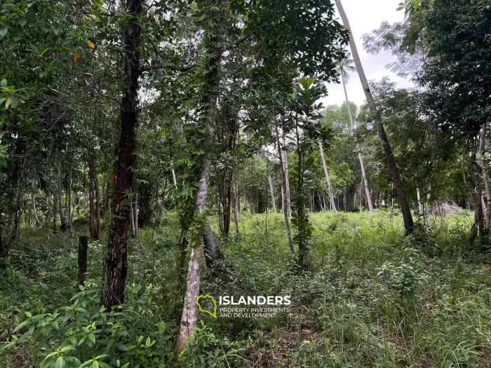 Terrain spacieux à Ban Nai Suan : endroit idéal pour votre maison