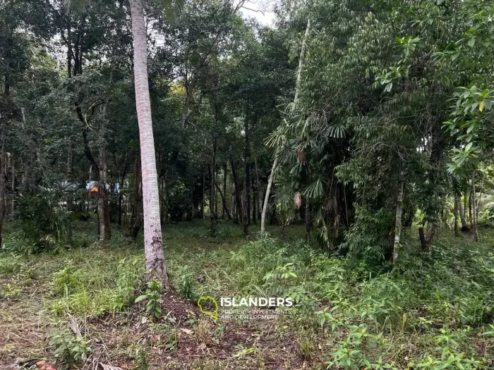 Terrain spacieux à Ban Nai Suan : endroit idéal pour votre maison