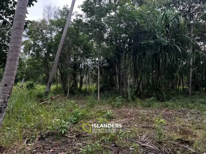 Terrain spacieux à Ban Nai Suan : endroit idéal pour votre maison
