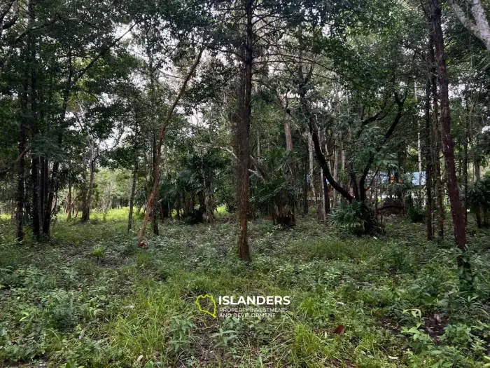Terrain spacieux à Ban Nai Suan : endroit idéal pour votre maison