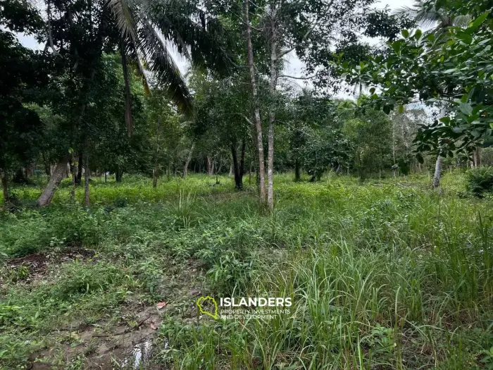 Terrain spacieux à Ban Nai Suan : endroit idéal pour votre maison