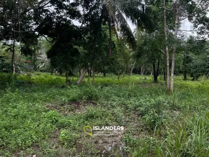 Terrain spacieux à Ban Nai Suan : endroit idéal pour votre maison