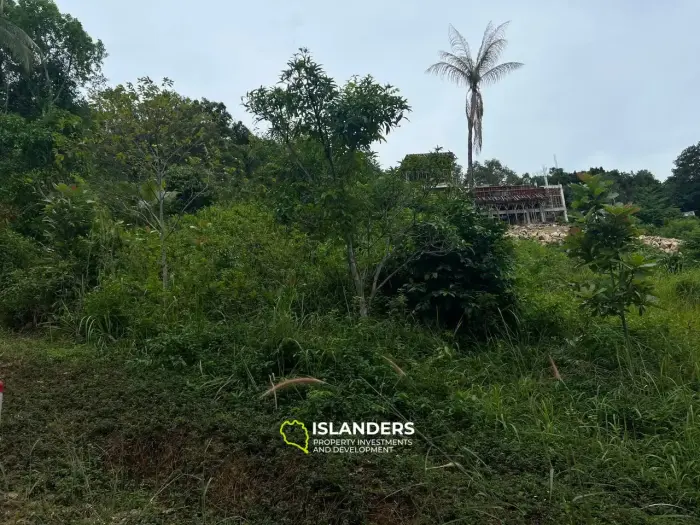 ココナッツ レーンの土地: トロピカル オアシス