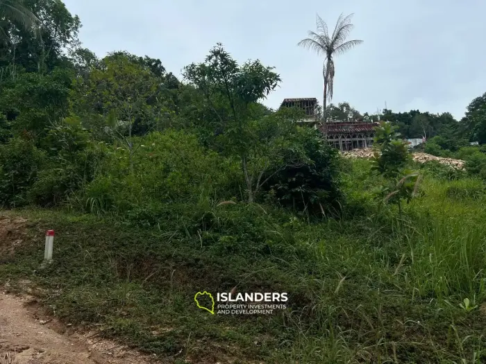 ココナッツ レーンの土地: トロピカル オアシス