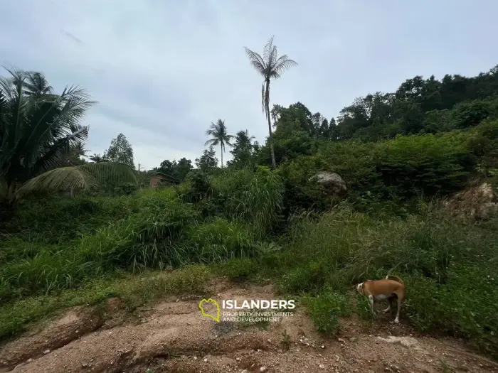 Grundstück in der Coconut Lane: Elite-Villen in der Nähe