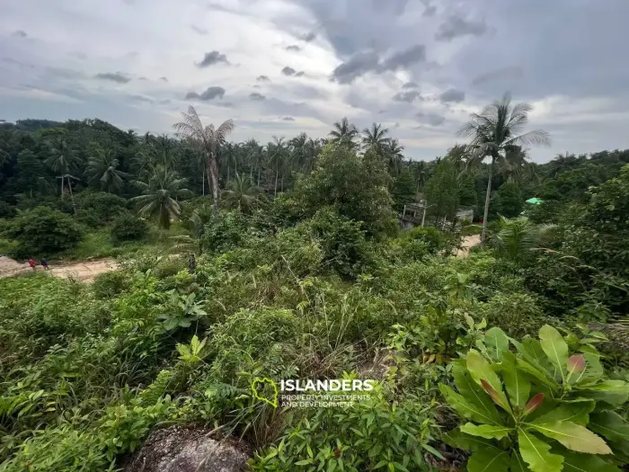ที่ดินพิเศษบน Coconut Lane: Tropical Treasure