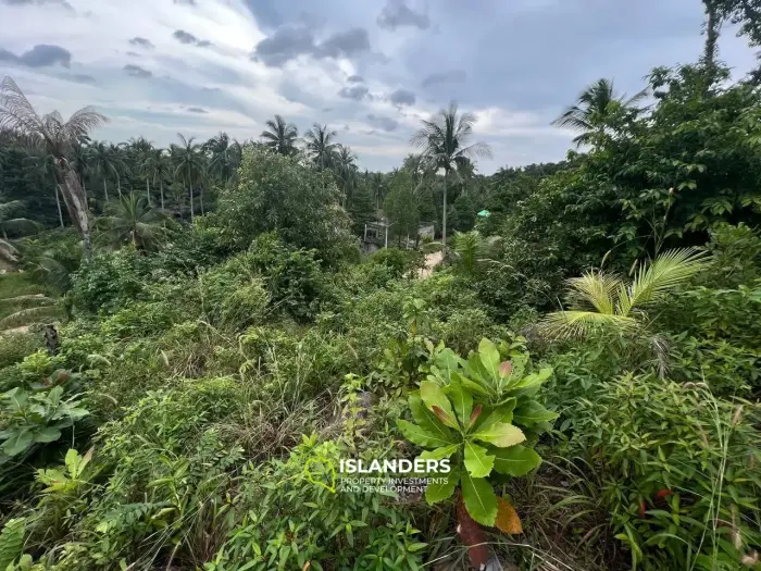 ที่ดินพิเศษบน Coconut Lane: Tropical Treasure