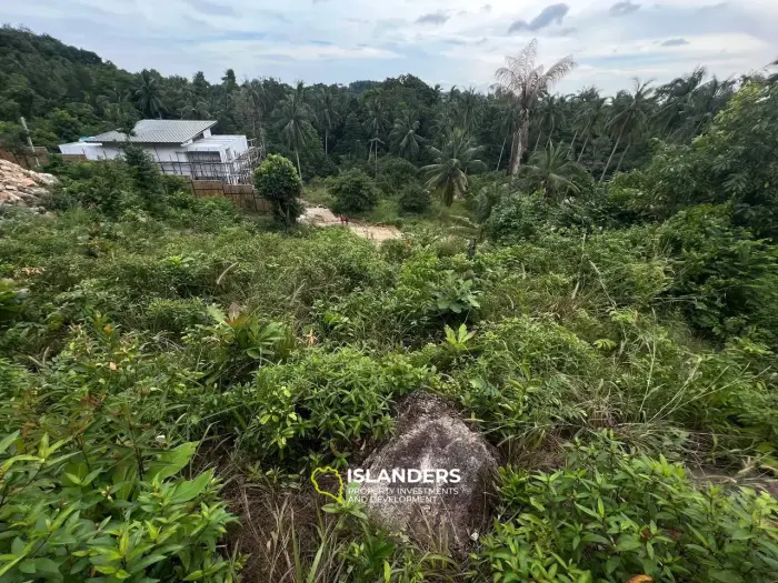 ที่ดินพิเศษบน Coconut Lane: Tropical Treasure