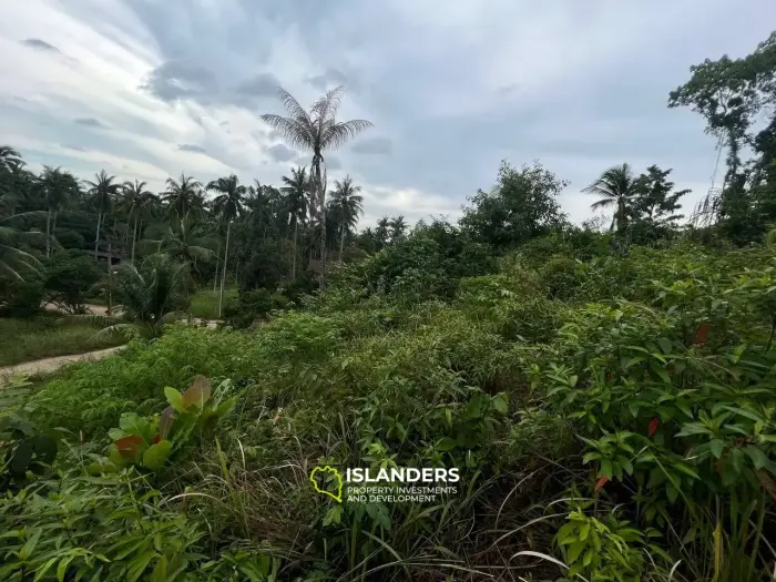 ที่ดินพิเศษบน Coconut Lane: Tropical Treasure