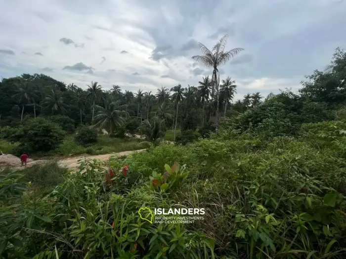 ที่ดินพิเศษบน Coconut Lane: Tropical Treasure