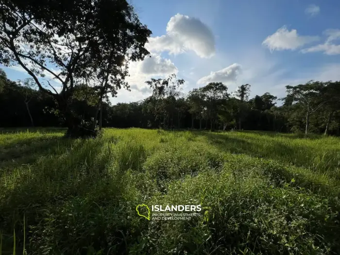 Terreno ideal en Ban Nai Suan