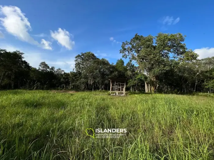 Terreno ideal en Ban Nai Suan