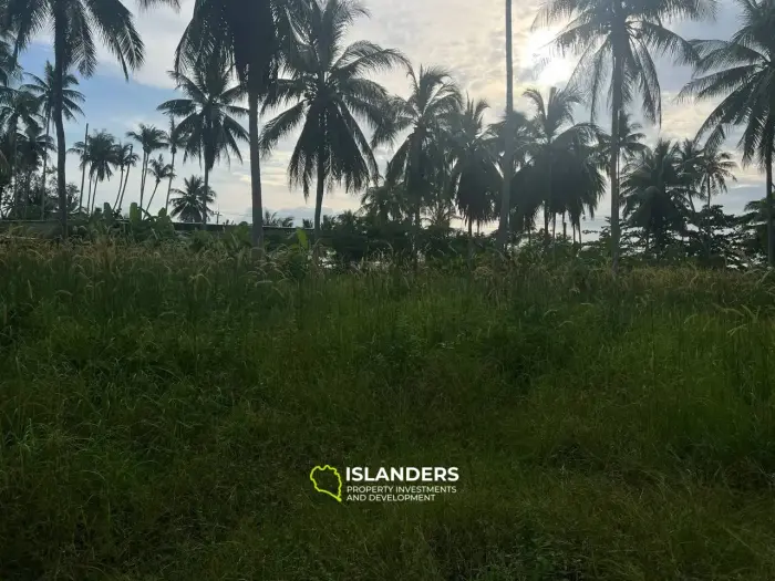 Sunset Beachfront Land: 2 Rai של שלמות החוף