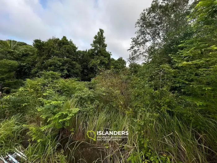 Prestigious Commercial Plot in Had Salad