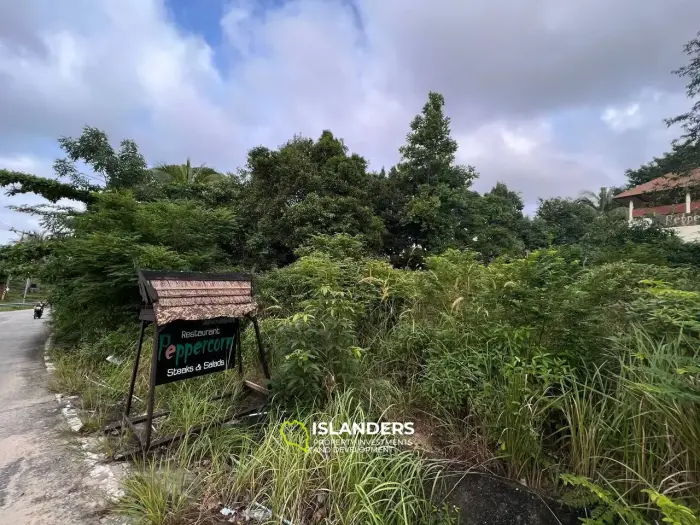 Prestigious Commercial Plot in Had Salad