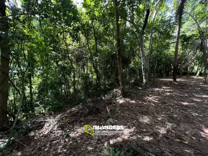 Thai Tranquility: Grundstück in Bantai mit Blick auf den Dschungel