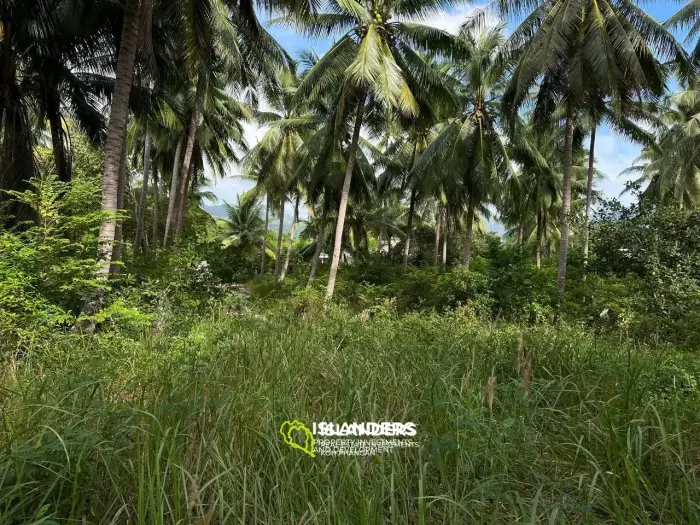 Scenic Plot in Ban Tai: A Blend of Nature and Convenience