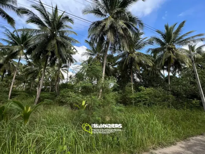 Scenic Plot in Ban Tai: A Blend of Nature and Convenience