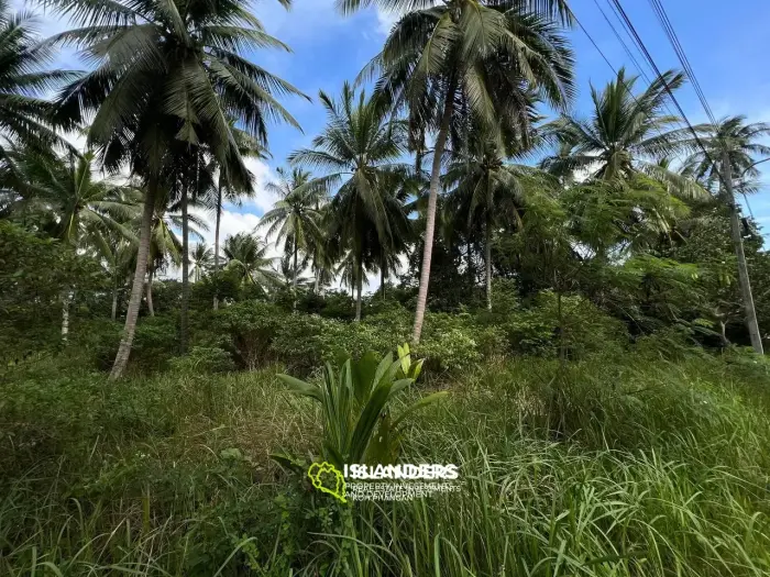 Scenic Plot in Ban Tai: A Blend of Nature and Convenience